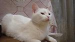     
: DSC09944.jpg
: 3
:	82.3 
ID:	8194690