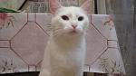     
: DSC09939.jpg
: 5
:	89.8 
ID:	8194691