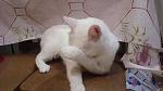     
: DSC09955.jpg
: 4
:	98.0 
ID:	8194693