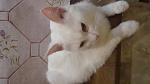     
: DSC09946.jpg
: 5
:	71.0 
ID:	8194694