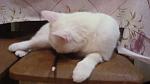     
: DSC09961.jpg
: 3
:	69.7 
ID:	8194695