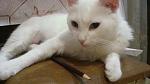     
: DSC09963.jpg
: 4
:	85.1 
ID:	8194696
