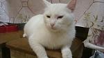     
: DSC09953.jpg
: 6
:	83.9 
ID:	8194697