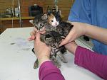     
: IMG_0611.jpg
: 21
:	112.2 
ID:	8195270