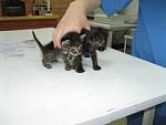     
: IMG_0608.jpg
: 19
:	76.5 
ID:	8195271