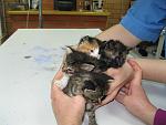     
: IMG_0609.jpg
: 16
:	106.1 
ID:	8195272