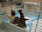     
: IMG_0635.jpg
: 16
:	153.2 
ID:	8195276