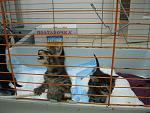     
: IMG_0639.jpg
: 25
:	134.8 
ID:	8195279