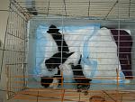     
: IMG_0636.jpg
: 21
:	154.3 
ID:	8195287
