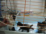     
: IMG_0638.jpg
: 19
:	142.4 
ID:	8195290