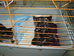     
: IMG_0633.jpg
: 21
:	126.7 
ID:	8195292