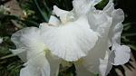     
: DSC05006.JPG
: 4
:	173.9 
ID:	8195341
