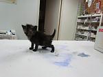     
: IMG_5622.jpg
: 22
:	79.2 
ID:	8195532