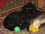     
: IMG_0024.jpg
: 32
:	146.5 
ID:	8195569