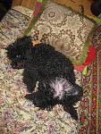     
: IMG_0310.jpg
: 38
:	173.7 
ID:	8195576