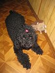     
: IMG_0320.jpg
: 31
:	111.4 
ID:	8195577
