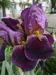    
: Фото0474.jpg
: 6
:	91.9 
ID:	8196002