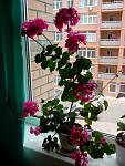     
: IMG_20140523_153925.jpg
: 25
:	102.8 
ID:	8196411