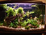     
: DSC06341.jpg
: 24
:	172.5 
ID:	8197837