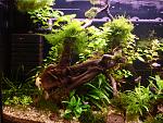     
: DSC06342.jpg
: 20
:	213.5 
ID:	8197838