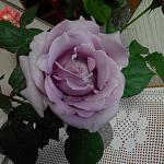     
: IMG_20140523_210329.jpg
: 25
:	109.0 
ID:	8197995