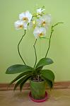    
: DSC_0364.jpg
: 9
:	50.3 
ID:	8198654
