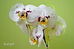     
: DSC_0360.jpg
: 9
:	75.6 
ID:	8198660