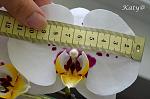     
: DSC_0352.jpg
: 10
:	97.8 
ID:	8198662