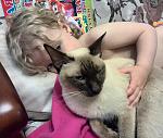     
: IMG_20140524_003441.jpg
: 8
:	178.1 
ID:	8198707