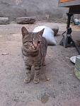     
: c4U9Eb1wUXk.jpg
: 30
:	151.3 
ID:	8200837