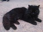     
: fkDtSW5iIG4.jpg
: 30
:	265.2 
ID:	8200838