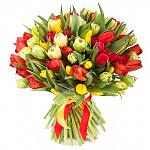     
: aSL0IQ_b7fU.jpg
: 22
:	51.6 
ID:	8201324