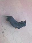     
: BeQhg1cv71g.jpg
: 12
:	80.2 
ID:	8202645
