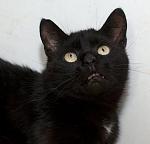 Нажмите на изображение для увеличения
Название: Image1.jpg
Просмотров: 7
Размер:	56.1 Кб
ID:	8203568