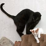     
: DSC_0929.jpg
: 8
:	62.4 
ID:	8203570