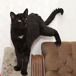     
: DSC_0914.jpg
: 6
:	71.4 
ID:	8203571