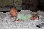     
: IMG_9442.jpg
: 36
:	94.6 
ID:	8204078