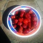     
: uploadfromtaptalk1401082959668.jpg
: 17
:	112.5 
ID:	8205893