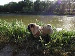    
: DSC00152.jpg
: 28
:	253.6 
ID:	8208121