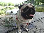     
: DSC00145.jpg
: 28
:	181.9 
ID:	8208128
