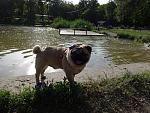     
: DSC00147.jpg
: 24
:	238.2 
ID:	8208135