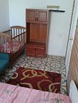     
: BeD5sIibKtE.jpg
: 8
:	66.2 
ID:	8209512