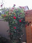     
: Фото0461.jpg
: 5
:	112.4 
ID:	8212913