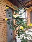     
: Фото0465.jpg
: 6
:	135.6 
ID:	8212917