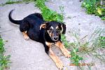     
: DSC_0585.jpg
: 10
:	174.1 
ID:	8213917