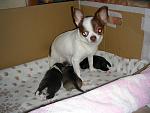     
: DSCN5740.jpg
: 14
:	123.2 
ID:	8214657