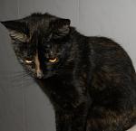     
: DSCN3614.JPG
: 33
:	234.1 
ID:	8215219