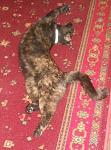     
: DSCN4654.JPG
: 23
:	92.2 
ID:	8215220