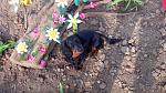     
: IMG_20140402_164449.jpg
: 10
:	247.8 
ID:	8215591