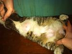     
: Sj8tXdcmbLQ.jpg
: 7
:	121.2 
ID:	8218628